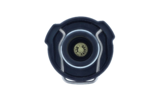 Thermostat, coolant, Image 4