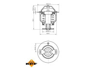 Thermostat, coolant