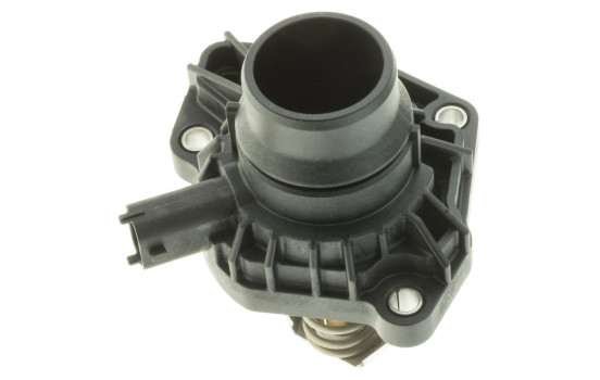 Thermostat, coolant, Image 10