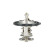 Thermostat, coolant, Thumbnail 2