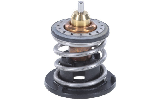Thermostat, coolant