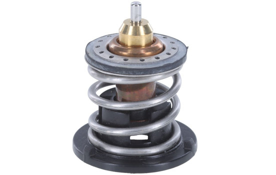 Thermostat, coolant, Image 5