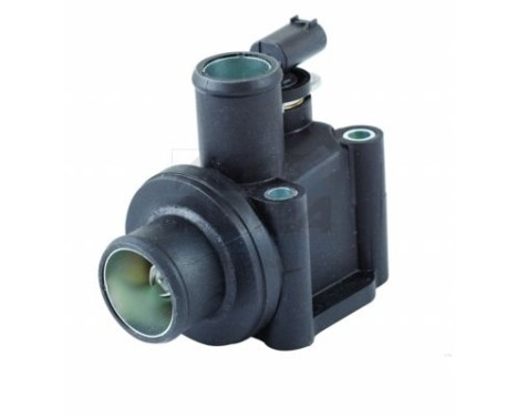 Thermostat, coolant