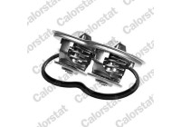 Thermostat, coolant