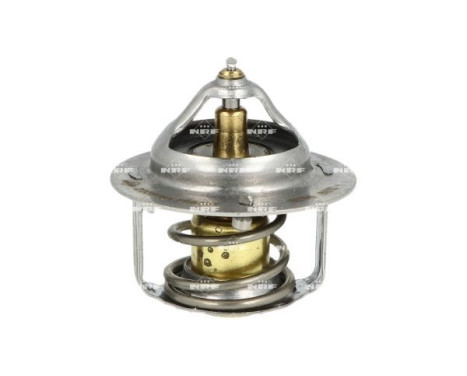 Thermostat, coolant, Image 2