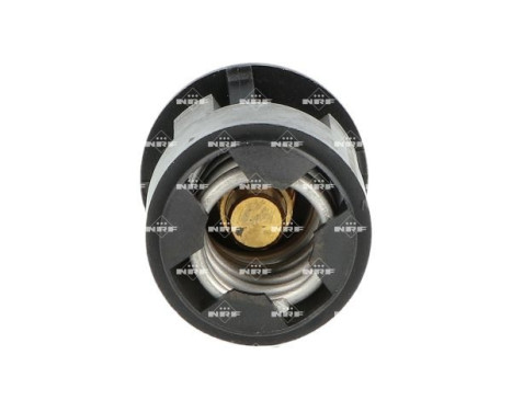 Thermostat, coolant, Image 2