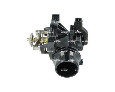 Thermostat, coolant