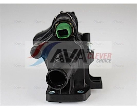 Thermostat, coolant