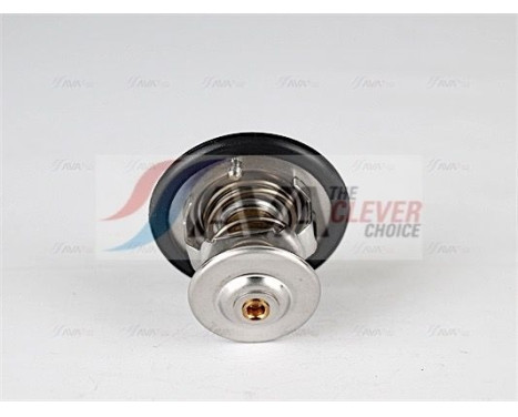 Thermostat, coolant, Image 2