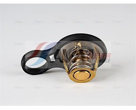Thermostat, coolant