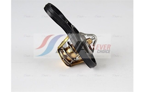 Thermostat, coolant, Image 2