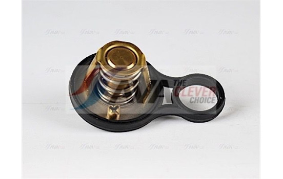 Thermostat, coolant, Image 4