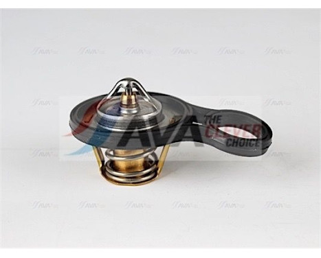 Thermostat, coolant, Image 6