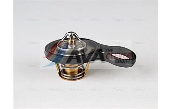 Thermostat, coolant, Image 6