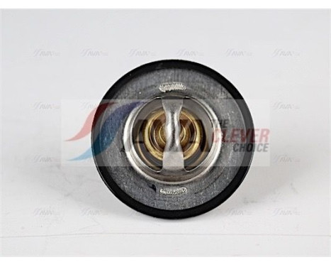 Thermostat, coolant, Image 2