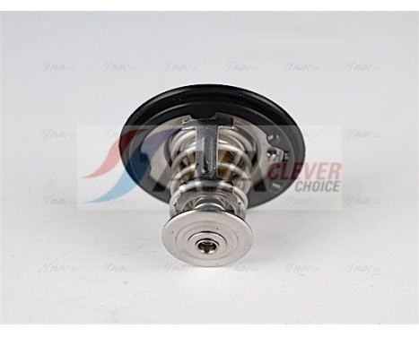 Thermostat, coolant, Image 2