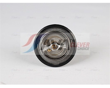 Thermostat, coolant, Image 2