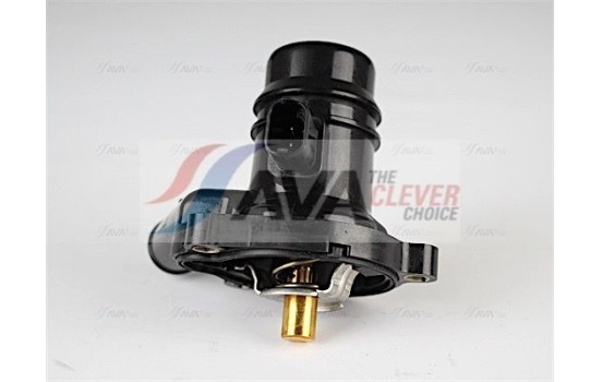 Thermostat, coolant