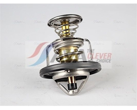 Thermostat, coolant, Image 2