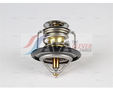 Thermostat, coolant, Image 2