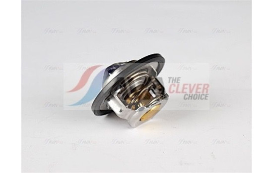 Thermostat, coolant, Image 2
