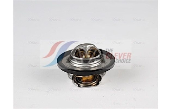 Thermostat, coolant, Image 4