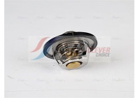 Thermostat, coolant