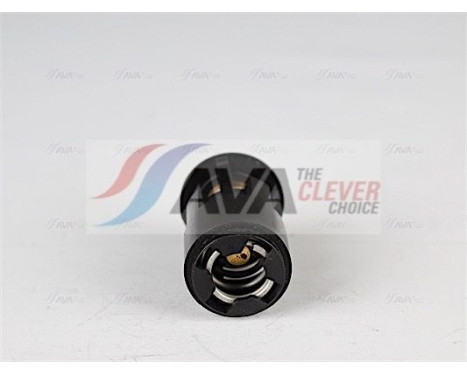 Thermostat, coolant