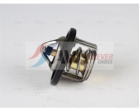 Thermostat, coolant, Image 4