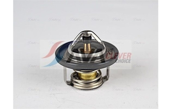 Thermostat, coolant, Image 5