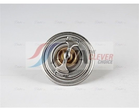 Thermostat, coolant, Image 2