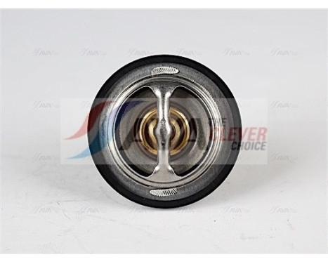 Thermostat, coolant, Image 2