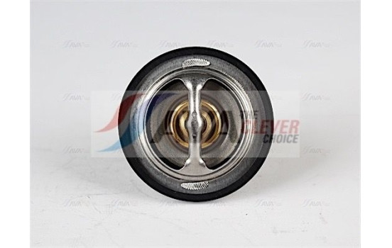 Thermostat, coolant, Image 2