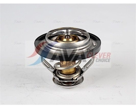 Thermostat, coolant, Image 5