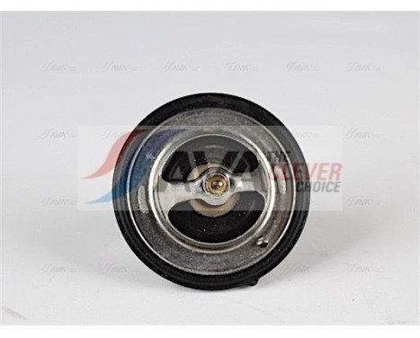 Thermostat, coolant, Image 2