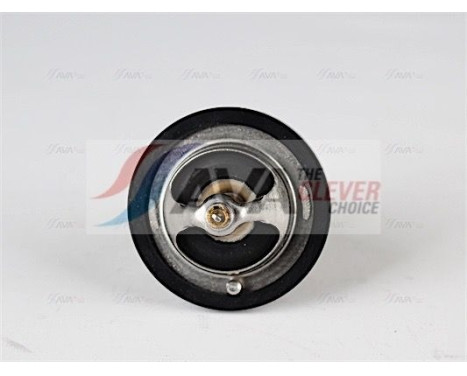 Thermostat, coolant, Image 2