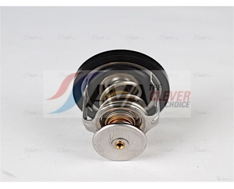 Thermostat, coolant, Image 3