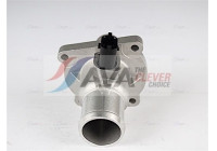 Thermostat, coolant