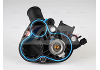 Thermostat, coolant