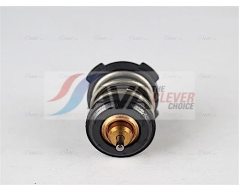 Thermostat, coolant, Image 2