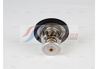 Thermostat, coolant