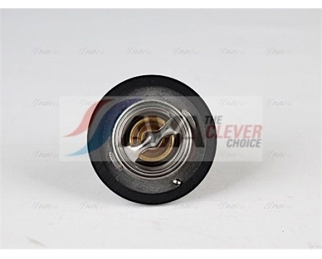 Thermostat, coolant, Image 2