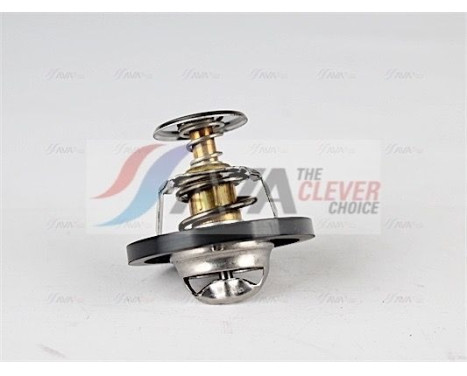 Thermostat, coolant, Image 3