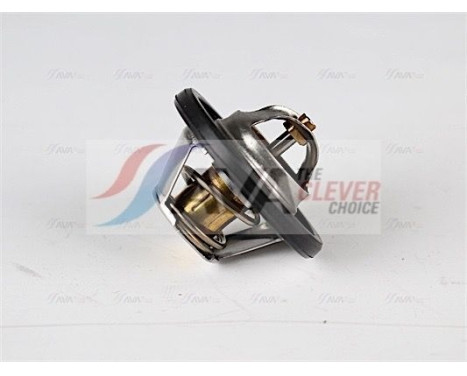 Thermostat, coolant, Image 2