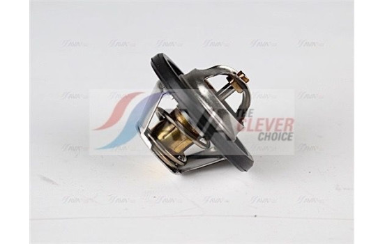 Thermostat, coolant, Image 2
