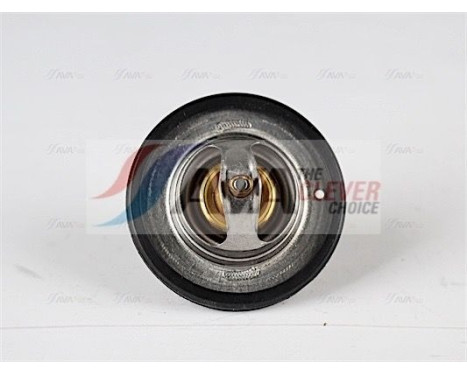 Thermostat, coolant, Image 3