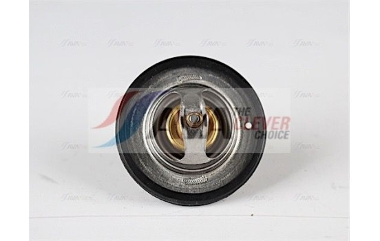 Thermostat, coolant, Image 3