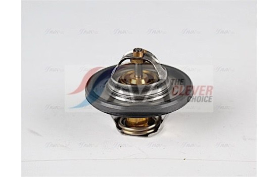 Thermostat, coolant, Image 5