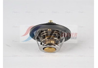 Thermostat, coolant