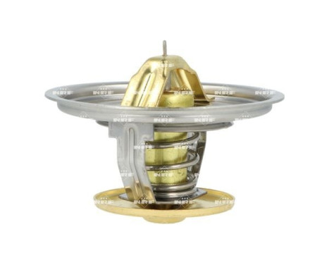 Thermostat, coolant, Image 2